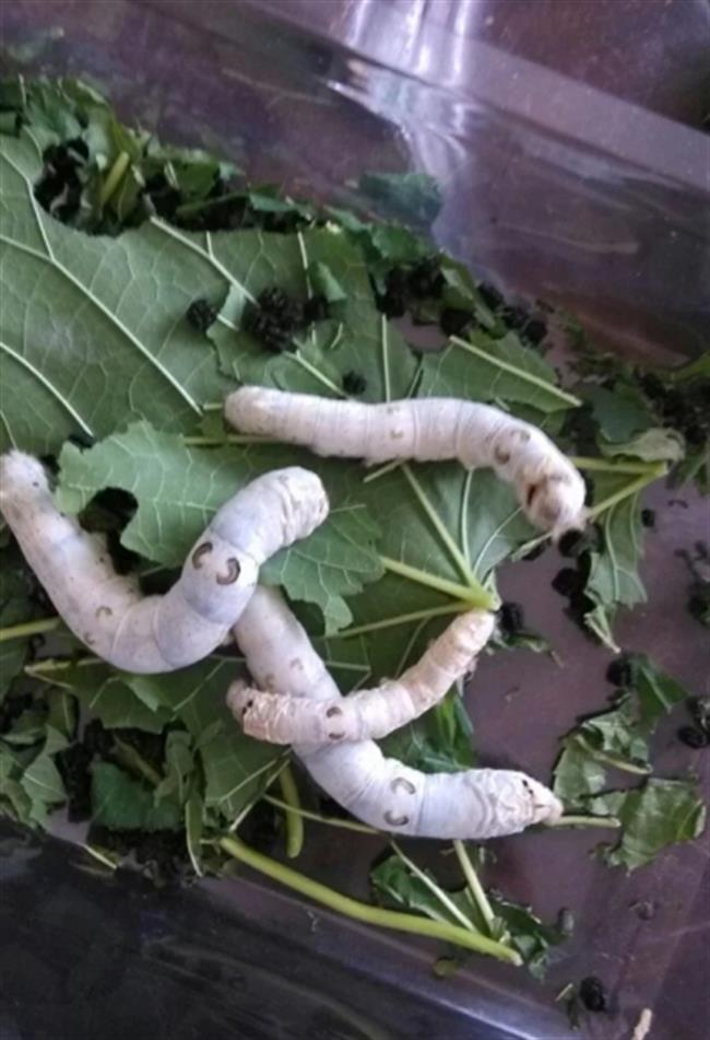 四版之一.jpg 四版之一.jpg