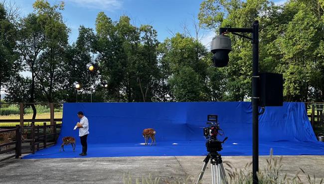 91f0a757d95c1f634357f65c76349c2.jpg 91f0a757d95c1f634357f65c76349c2.jpg